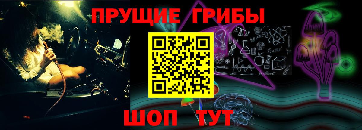 Галлюциногенные грибы Psilocybe Курск